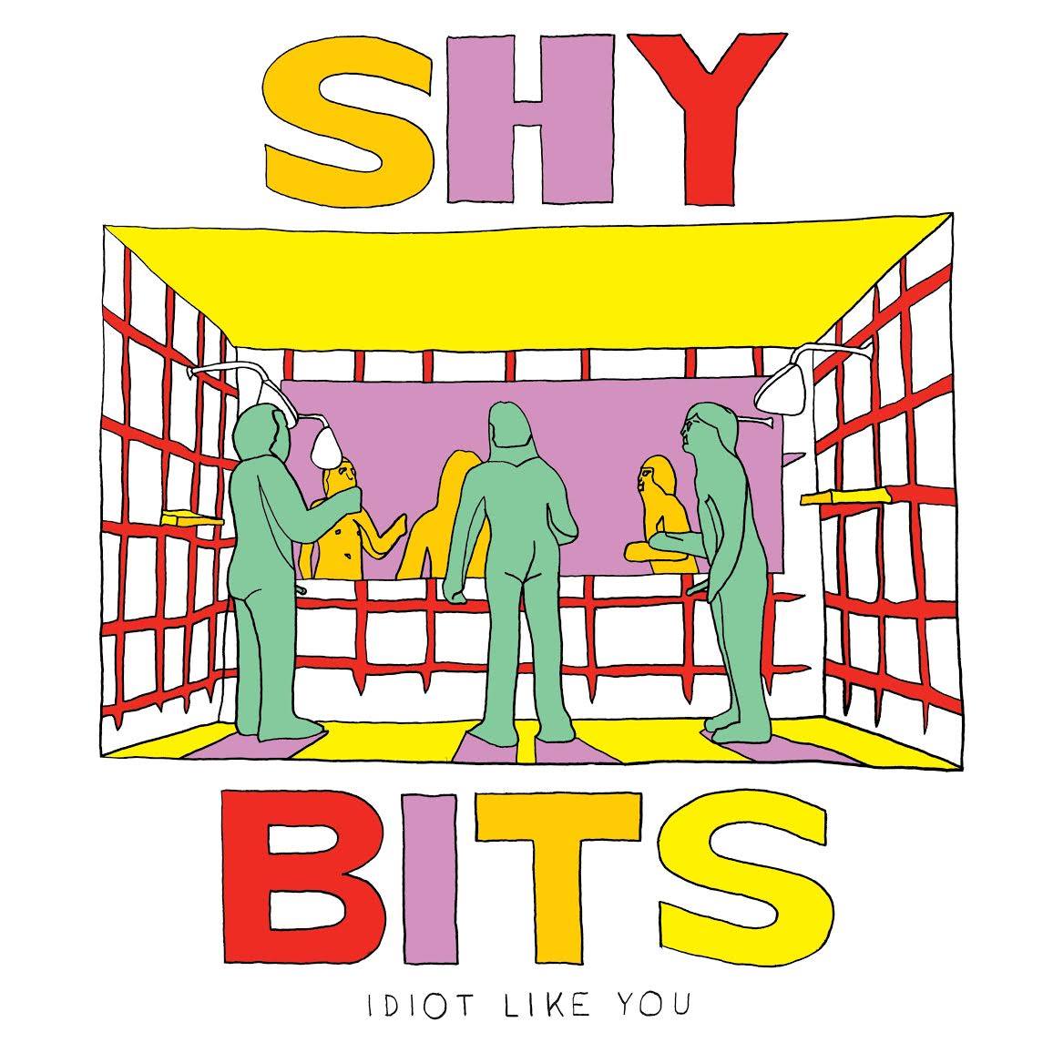 Shybits Idiots like You