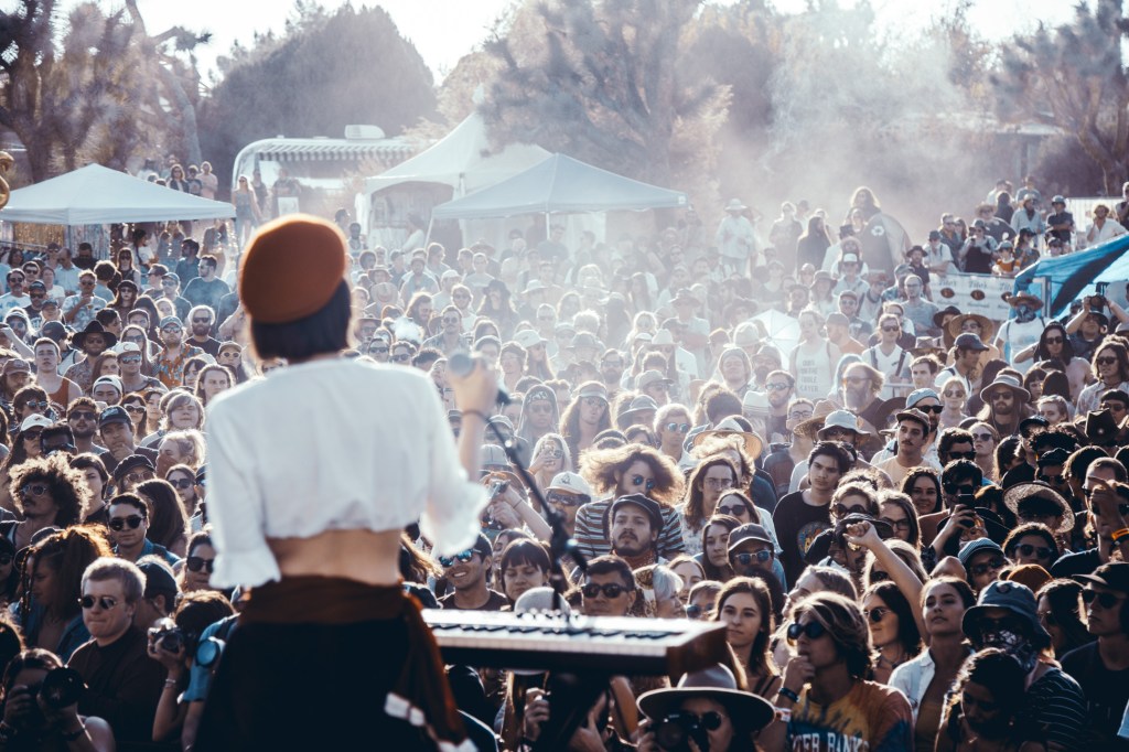 Desert Daze 2017 © Desert Daze